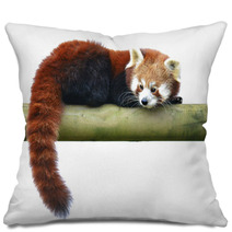 Red Panda Pillows 96103562