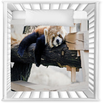 Red Panda relax posture Nursery Decor 30532359