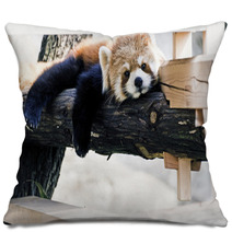 Red Panda relax posture Pillows 30532359