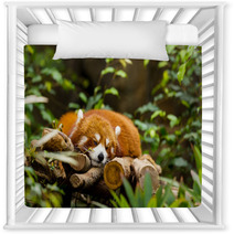 Red Panda Sleeping On The Tree Nursery Decor 87568147