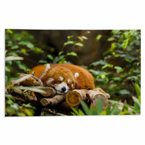 Red Panda Sleeping On The Tree Rugs 87568147