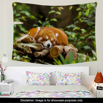 Red Panda Sleeping On The Tree Wall Art 87568147