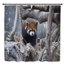 Red Panda Walking On The Tree Bath Decor 80423977