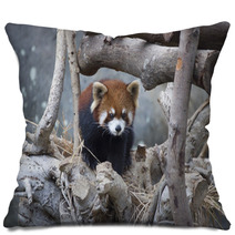 Red Panda Walking On The Tree Pillows 80423977