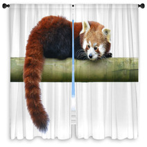 Red Panda Window Curtains 96103562