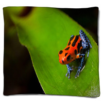 Red Poison Frog Blankets 37970174