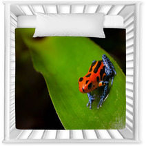 Red Poison Frog Nursery Decor 37970174