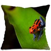 Red Poison Frog Pillows 37970174