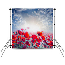 Red Poppy Field In A Rays Of Sun Backdrops 56875413
