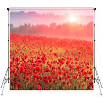 Red Poppy Field In Morning Mist Backdrops 60150152