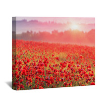 Red Poppy Field In Morning Mist Wall Art 60150152