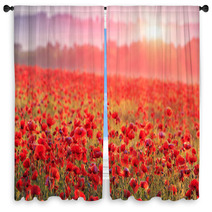 Red Poppy Field In Morning Mist Window Curtains 60150152
