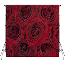 Red Rose Background Backdrops 48253647