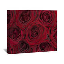 Red Rose Background Wall Art 48253647