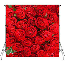Red Roses Backdrops 55599759