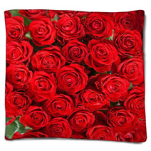 Red Roses Blankets 55599759