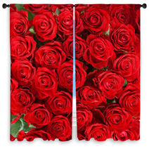 Red Roses Window Curtains 55599759