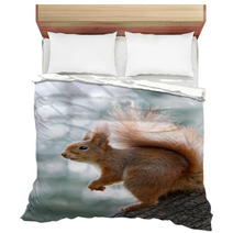 Red Squirrel On Tree Bedding 97008081