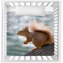 Red Squirrel On Tree Nursery Decor 97008081
