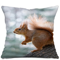 Red Squirrel On Tree Pillows 97008081