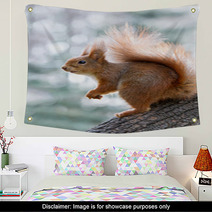 Red Squirrel On Tree Wall Art 97008081