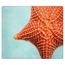 Red Starfish Rugs 57142023