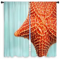 Red Starfish Window Curtains 57142023