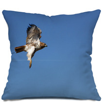 Red-tailed Hawk In Flight Pillows 18401105