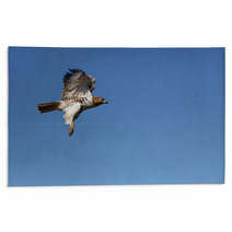 Red-tailed Hawk In Flight Rugs 18401105
