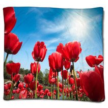 Red Tulips Under Blue Sky Blankets 51101861