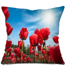 Red Tulips Under Blue Sky Pillows 51101861