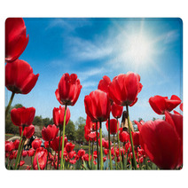 Red Tulips Under Blue Sky Rugs 51101861
