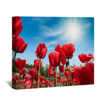 Red Tulips Under Blue Sky Wall Art 51101861