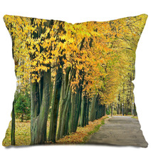Red yellow Leaves On The Trees In Autumn Park Pillows 55016067