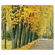 Red yellow Leaves On The Trees In Autumn Park Rugs 55016067