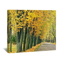 Red yellow Leaves On The Trees In Autumn Park Wall Art 55016067