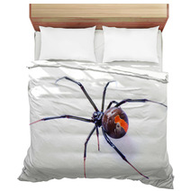 Redback Spider Latrodectus Hasselti On White Background Bedding 39041065