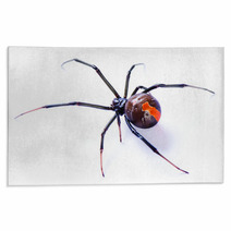 Redback Spider Latrodectus Hasselti On White Background Rugs 39041065