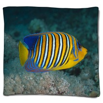 Regal Angelfish Blankets 50041384