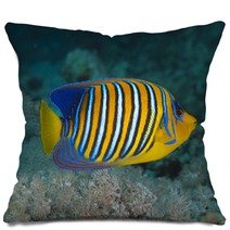 Regal Angelfish Pillows 50041384