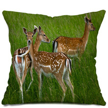 Rehe Pillows 42695005