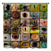 Reptile Eyes Collection Bath Decor 66156510