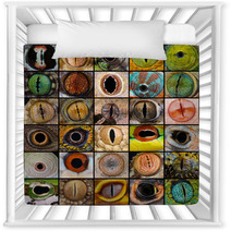 Reptile Eyes Collection Nursery Decor 66156510