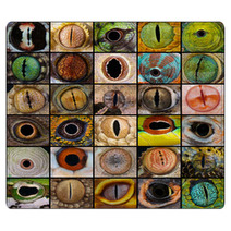 Reptile Eyes Collection Rugs 66156510