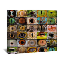 Reptile Eyes Collection Wall Art 66156510