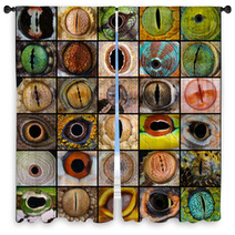 Reptile Eyes Collection Window Curtains 66156510