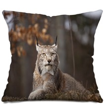 Resting Bobcat Pillows 74797282