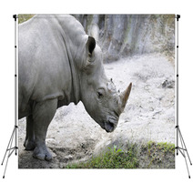 Rhino 1 Backdrops 31787480