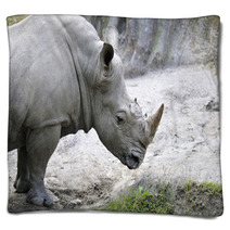 Rhino 1 Blankets 31787480