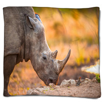 Rhino And Tiny Bird Blankets 47106983